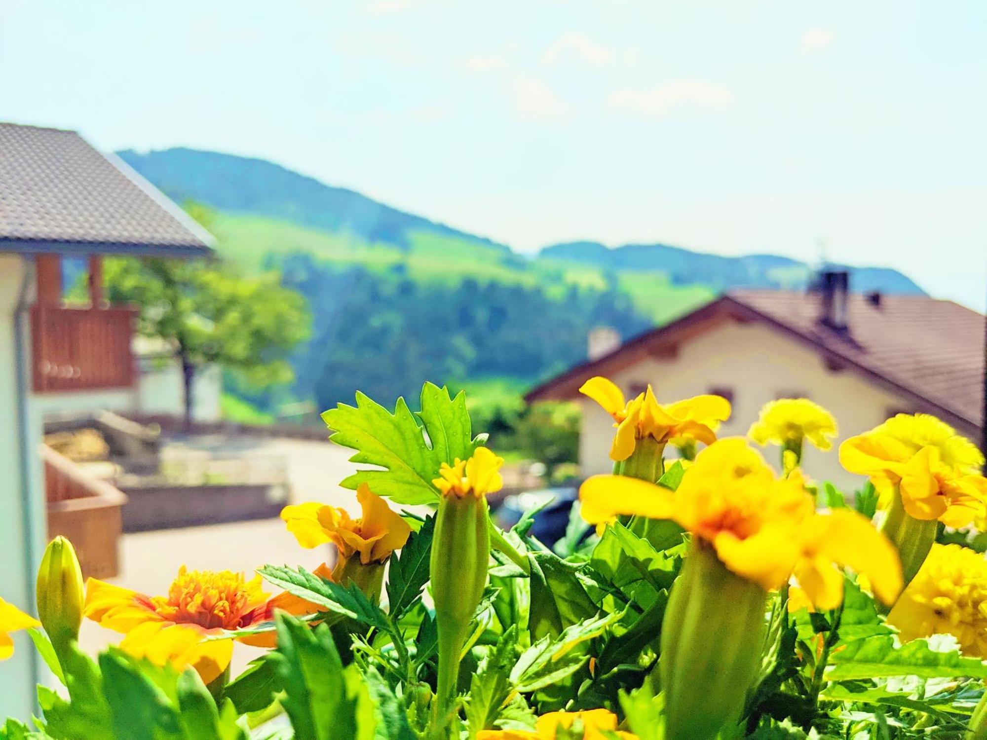 Vidora Apartments - Dolomites Escape In Alpe Di Siusi Fiè Exterior foto